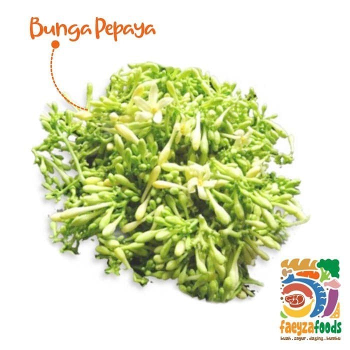 

Bunga Pepaya (pack)