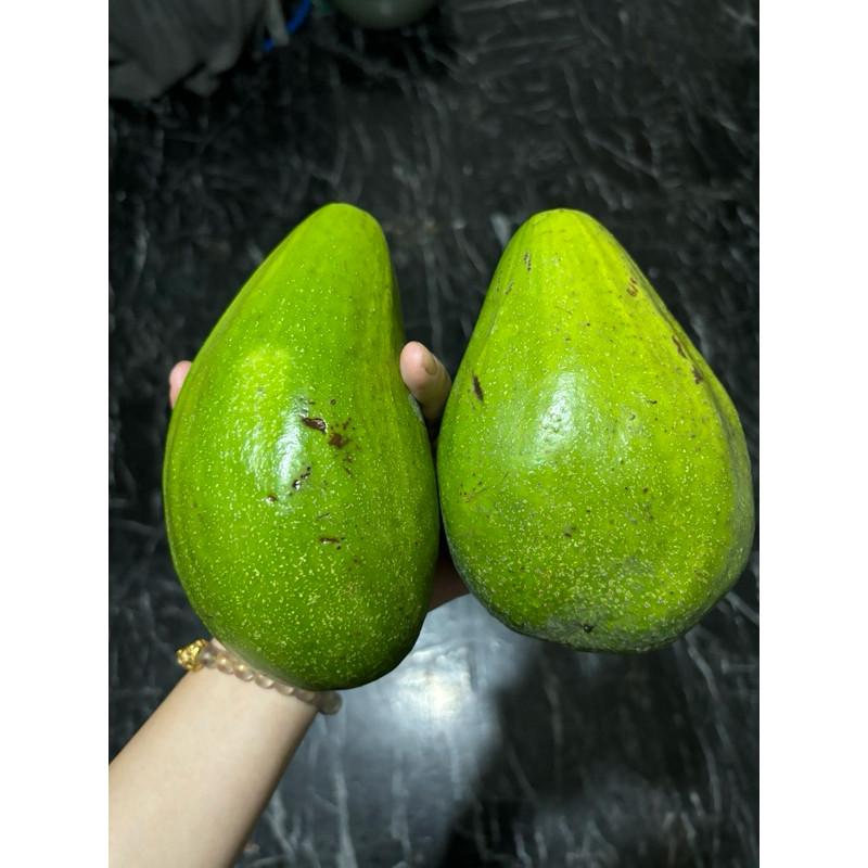 

^ Alpokat Mentega Fresh 1kg ^