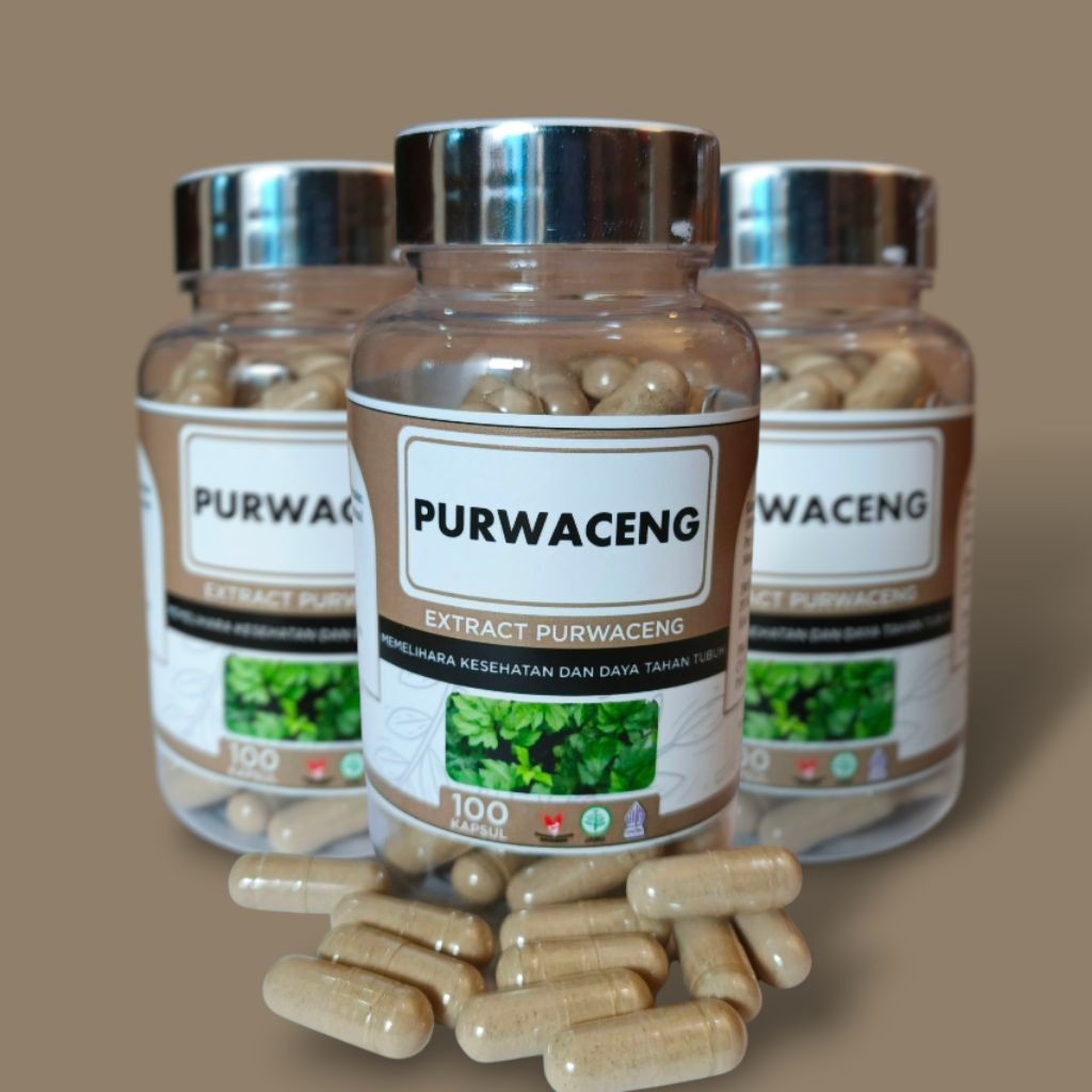 Kapsul herbal purwaceng purwoceng stamina ereksi