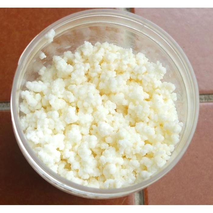 Bibit Kefir Susu Fermentasi / Kefir Grain 50 gram - Tanpa Freezepac