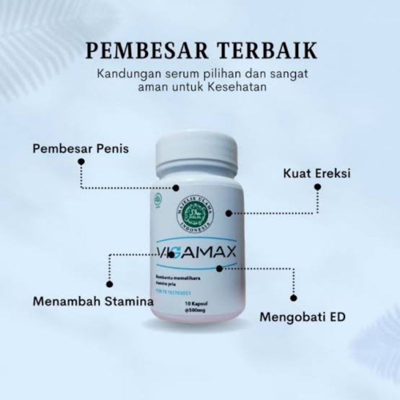 BIG PROMO VIGAMAX Asli Kapsul Herbal Kesehatan - 10 Kapsul