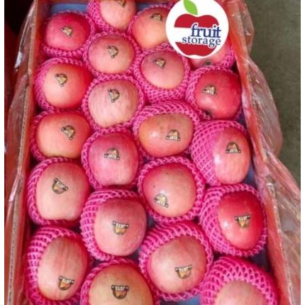 

SALE Buah Segar Apel Fuji China Manis Garing 1kg Fuji Apple RRC - RegulerTERLARIS