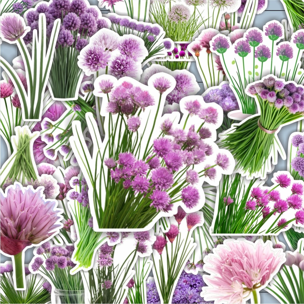 

100PCS Lucu Stiker Chives Blossom Flower [Bunga Kucai] Stiker Aesthetic Stiker Anti Air Stikers Berperekat Waterproof sticker decal buat Motor Helm Buku Journal Koper Casing HP Laptop Botol Minum Hadiah anak