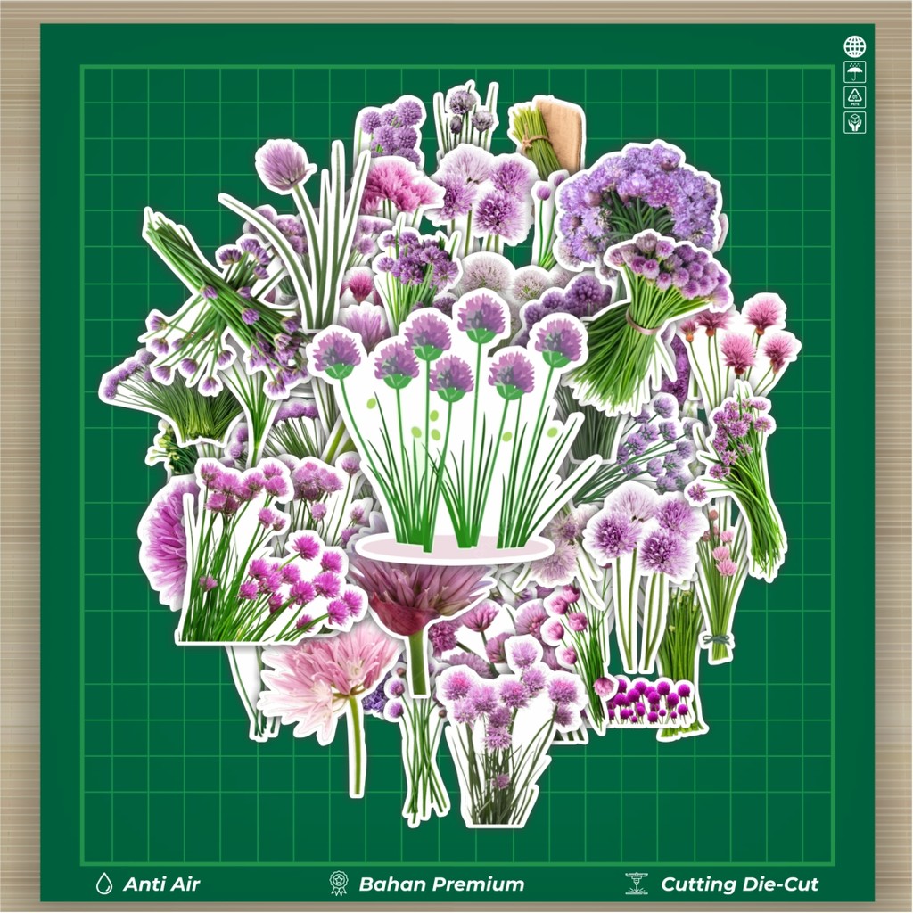 

HOT 50 PCS STIKER Stiker Chives Blossom Flower [Bunga Kucai] Stiker Fashion Cars Decal Dingin Kartu Album Custom Vinyl Anti Air- Sticker Aesthetic Buku Journal Koper Casing HP Tablet Laptop Helm Motor Botol Minum