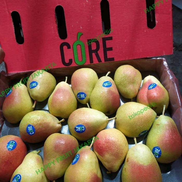 

buah pear forelle fresh 1kg