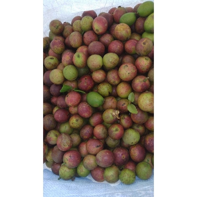 

BUAH MATOA 3 RASA MANIS 1 kg.