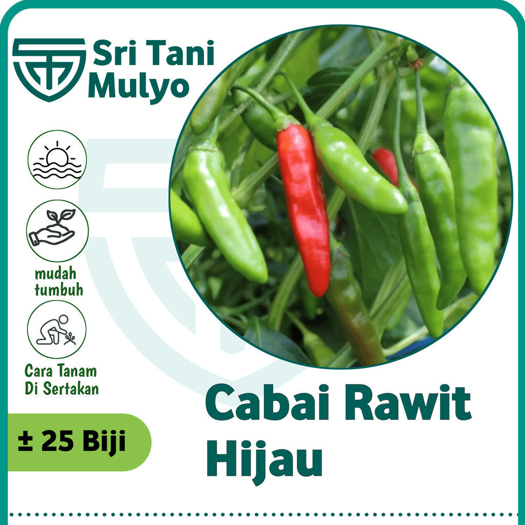 25 Biji - Benih Cabai Rawit Hijau Merunduk BANGKOK IJO - Bibit Sayuran Benih Sayuran Cabe Cabai Rawi