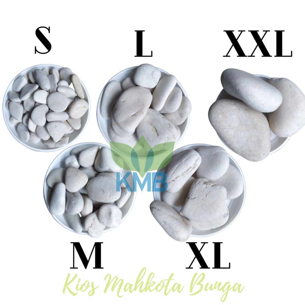 Batu Koral Putih Taman / Batu Koral Putih Kecil Kupang 1 Kg | Hiasan Taman Aquascape