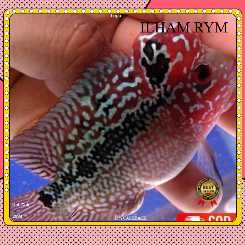 jenong 3 jari Burayak louhan lohan Kamfa F2 X SRD full MARKING MERAH BELI 3 BONUS 1