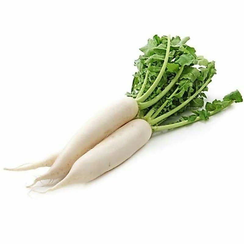 Lobak Putih Lobak Daikon Lobak Jepang Premium