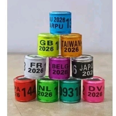 5 BIJI RING BURUNG IMPORT 2026 KODE NEGARA MERPATI MPOS KOLONG BALAP PMTI