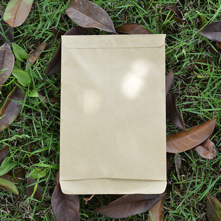 

100pcs/lot 6x10/9x13/12x18/12x20cm Kraft Paper Brown Bags Isolation Sack Seed Packaging/protective, Vertical Envelope Style
