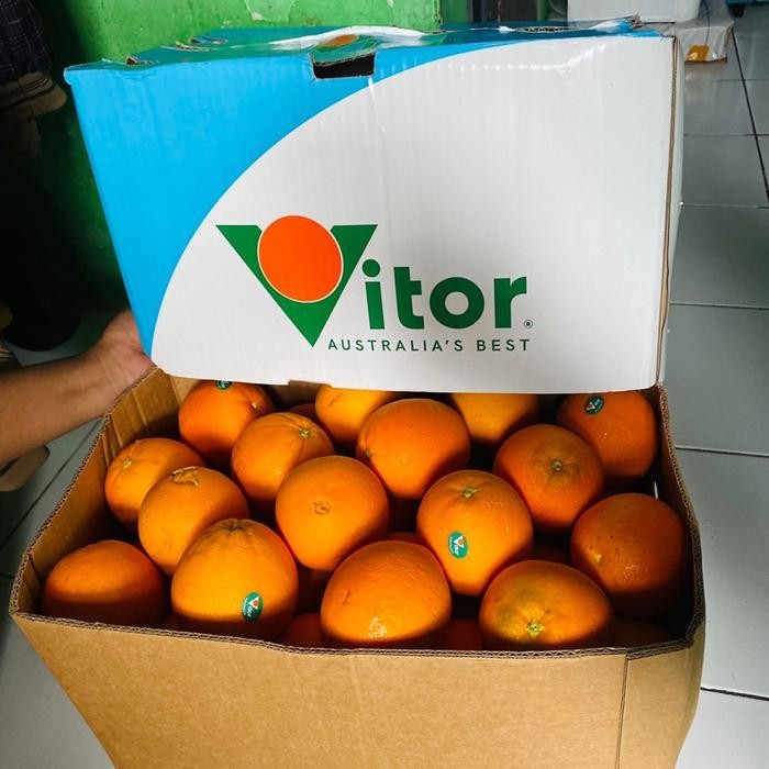 

Vitor Jeruk Navel Australia Super Jeruk Sunkis Navel Banyak Air Box 19 kg Australia's Best
