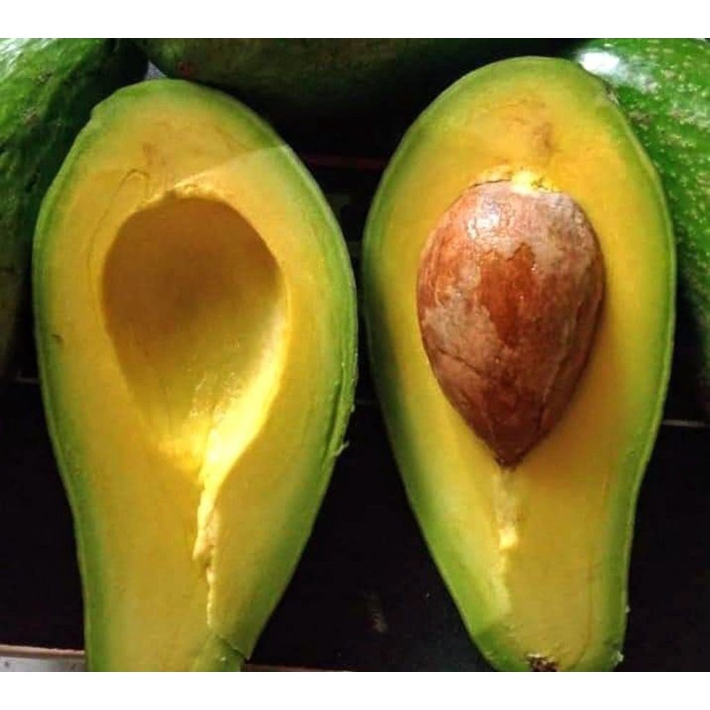 

^ ALPUKAT MENTEGA SUPER KUNING JUMBO 1KG FRESH ENAK LEZAT 3-4 DAN TIDAK BERSERAT!!!!!!!! ^