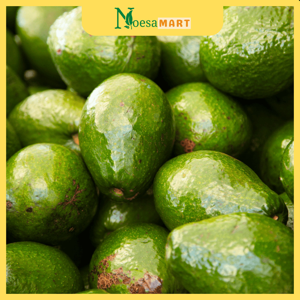 

^ FRESH! Alpukat Mentega Ekonomis Fresh 1kg isi 6 Pulen & Gurih ^