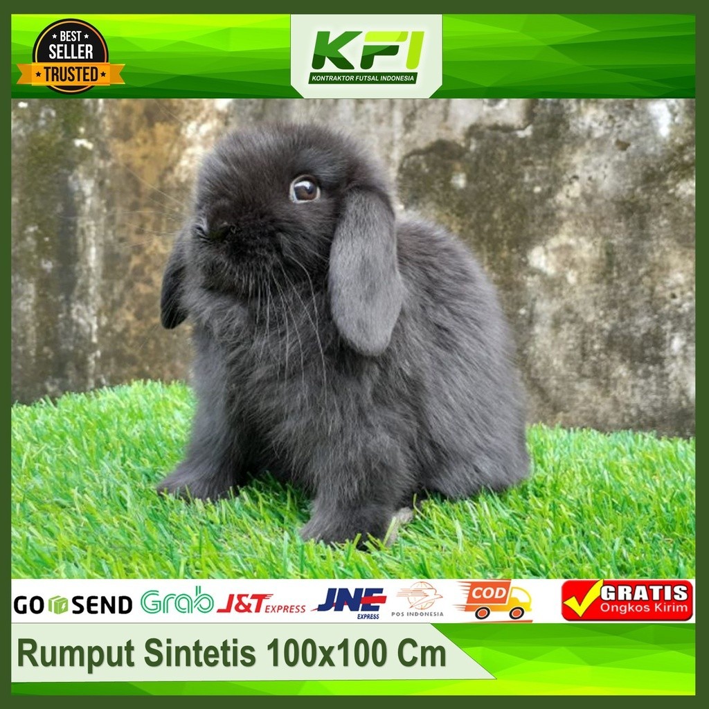 Rumput Sintetis Kelinci Karpet Rumput Sintetis 100x100 Karpet Rumput Sintetis 3 cm Rumput Sintetis S