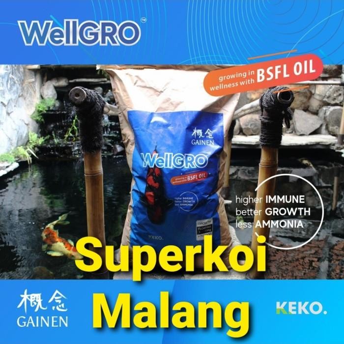 Wellgro Koi Gainen 15KG 15 KG Pakan Ikan Pelet Well Gro Growth Grow - Ukur L