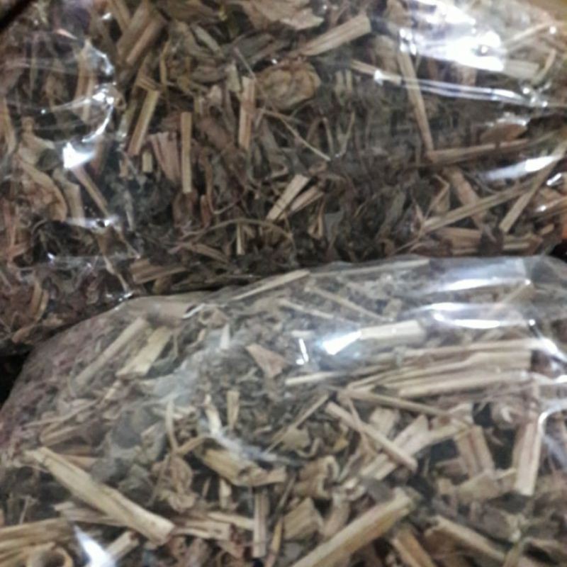 

New Promo Ciplukan/Daun Cecendet/Daun Kering Rempah Tradisional 100 gram COD ..