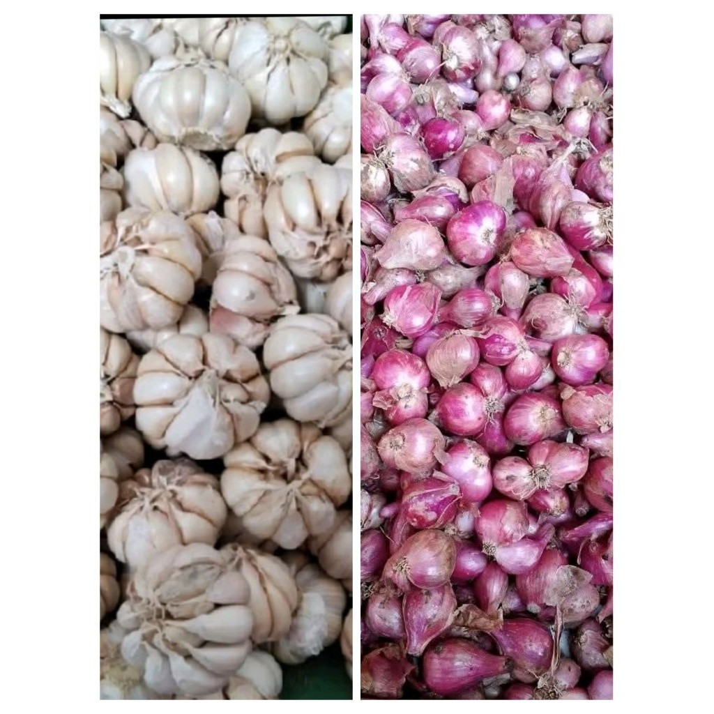 

Paket bawang Merah+putih 500g Berkualitas