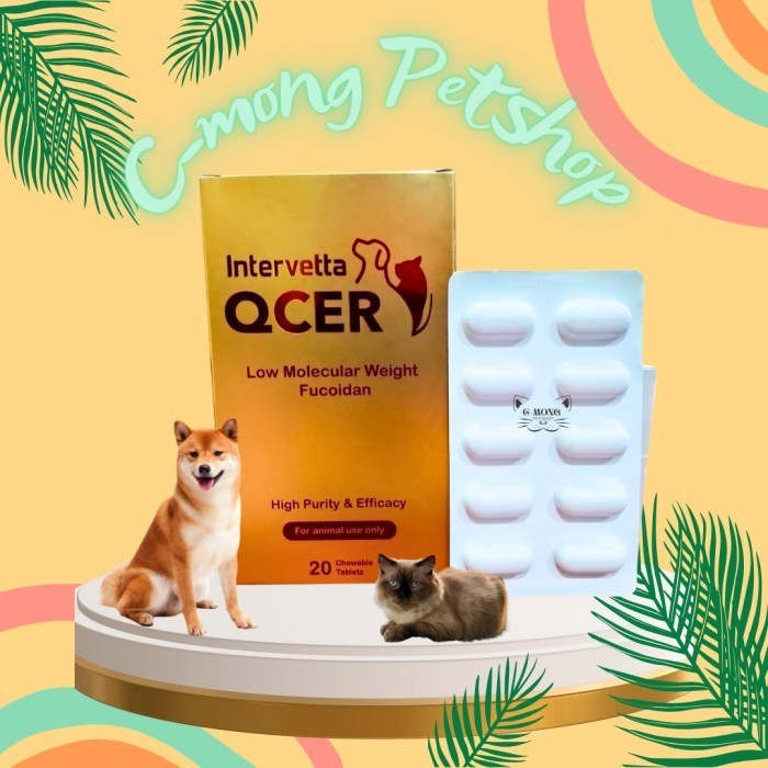 QCER Intervetta Obat Kanker Tumor Cancer Cat Dog Kucing Anjing (1 Tablet)