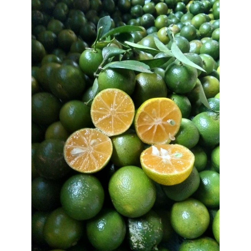 1KG JERUK SONKIT / JERUK KASTURI / JERUK KUNCI