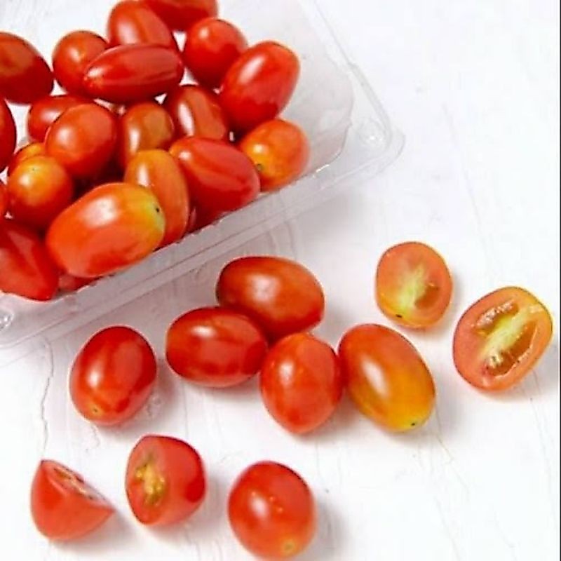 Tomat cherry segar