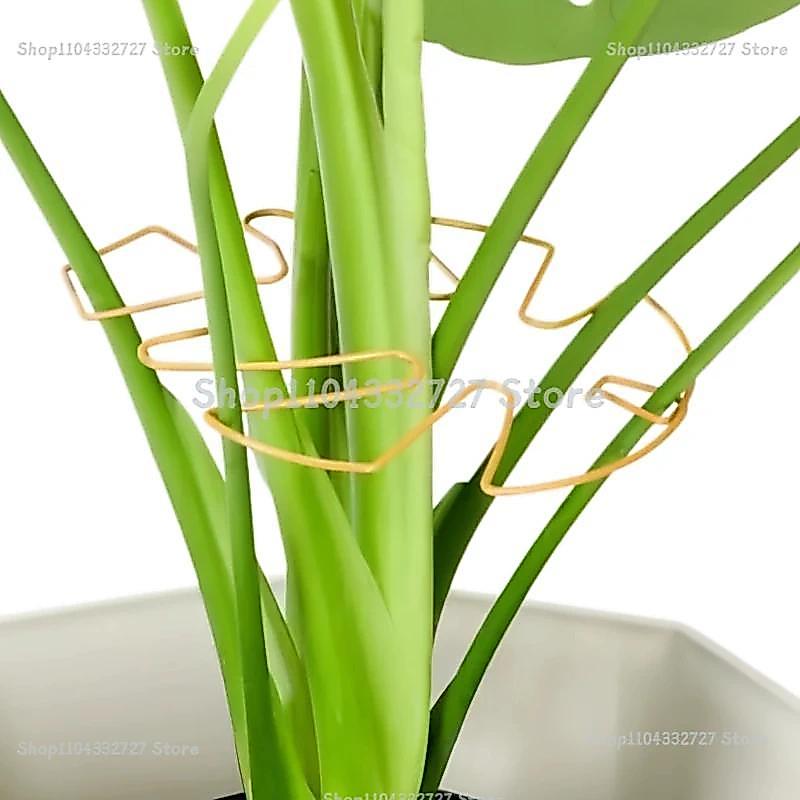 Plant Stand for Tall Houseplant Support Large Monstera Plant Stand Sturdy Climbing Stems Leaf Stabil