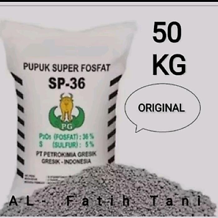 PUPUK TSP 36 PUPUK SUPER FOSFAT PAKET 10KG - 50KG (BALL) PENYUBUR TANAH