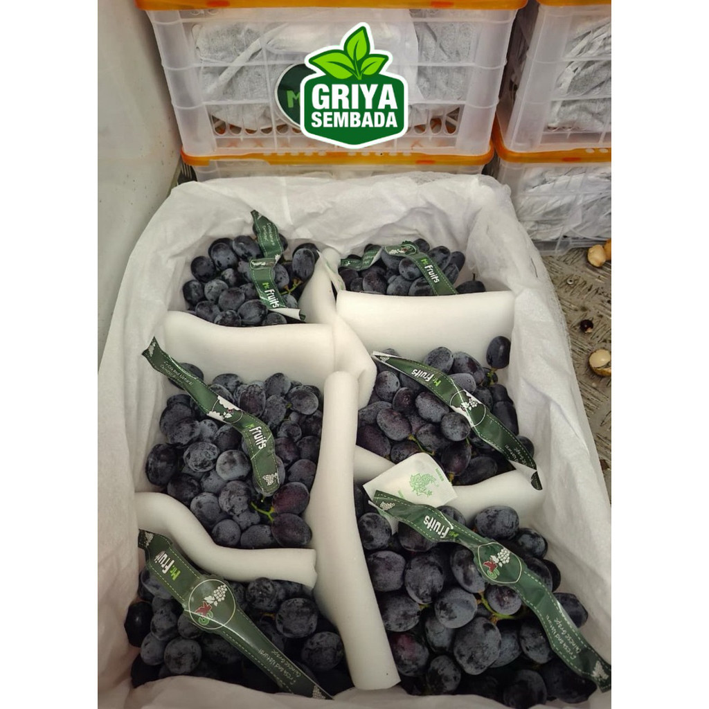 

Instant ANGGUR AUTUM ROYAL RRC 5 KG Griya Sembada Griya Sembada