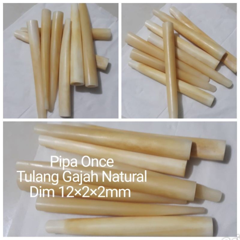 PIPA ONCE TULANG GAJAH NATURAL