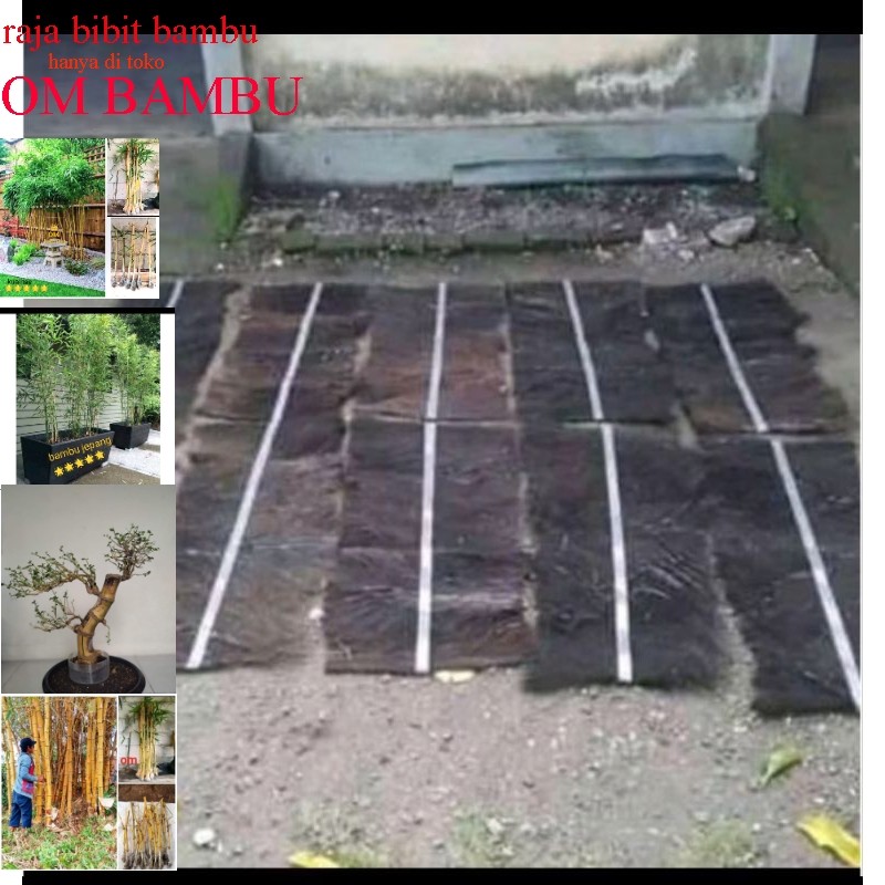 injuk tempat telur ikan mas dll