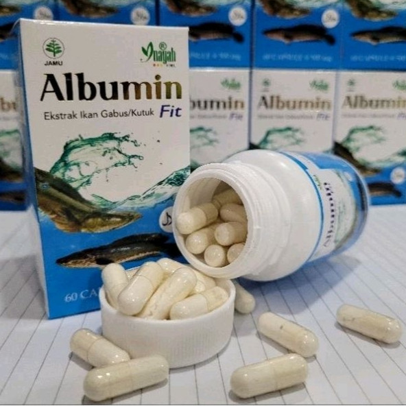 ALBUMIN Inayah Kapsul Ikan Gabus / IKAN KUTUK /