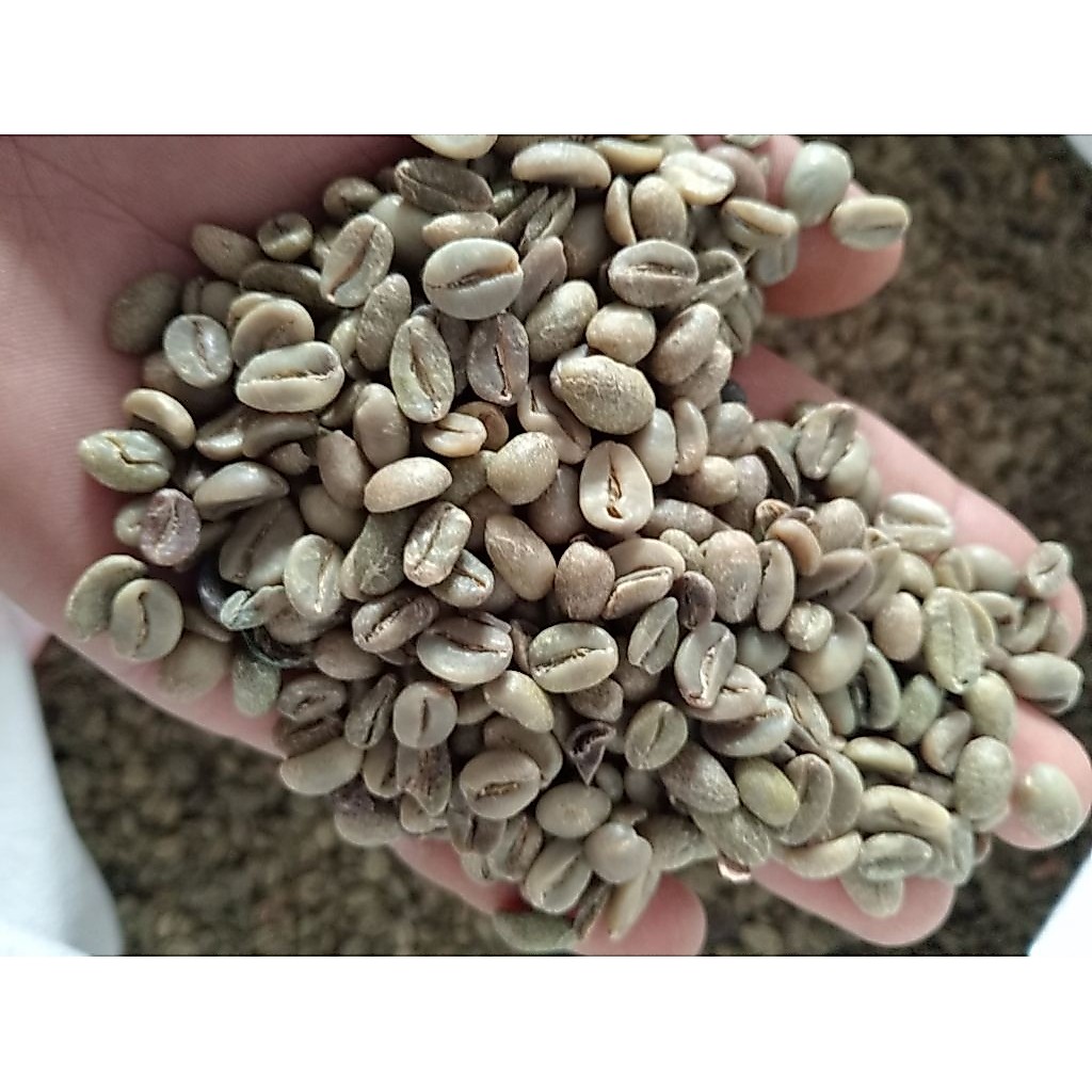 biji kopi  kopi selep Arabika wonosalam memiliki citarasa asam pahit  yang khas