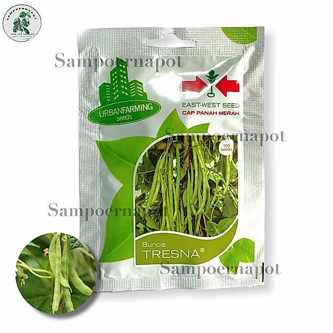 Benih Bibit Buncis Tresna Cap Panah Merah - BUNCIS TRESNA EAST WEST SEED
