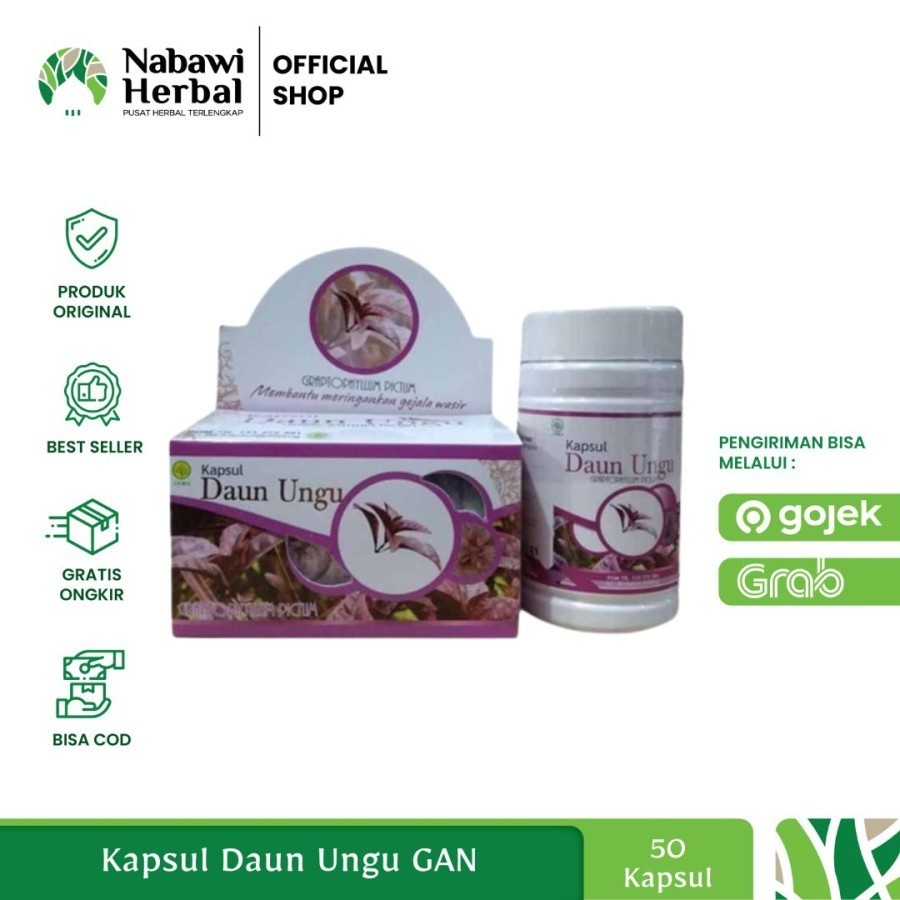 

GRIYA AN NUR - Ekstrak Daun Ungu Isi 50 Kapsul