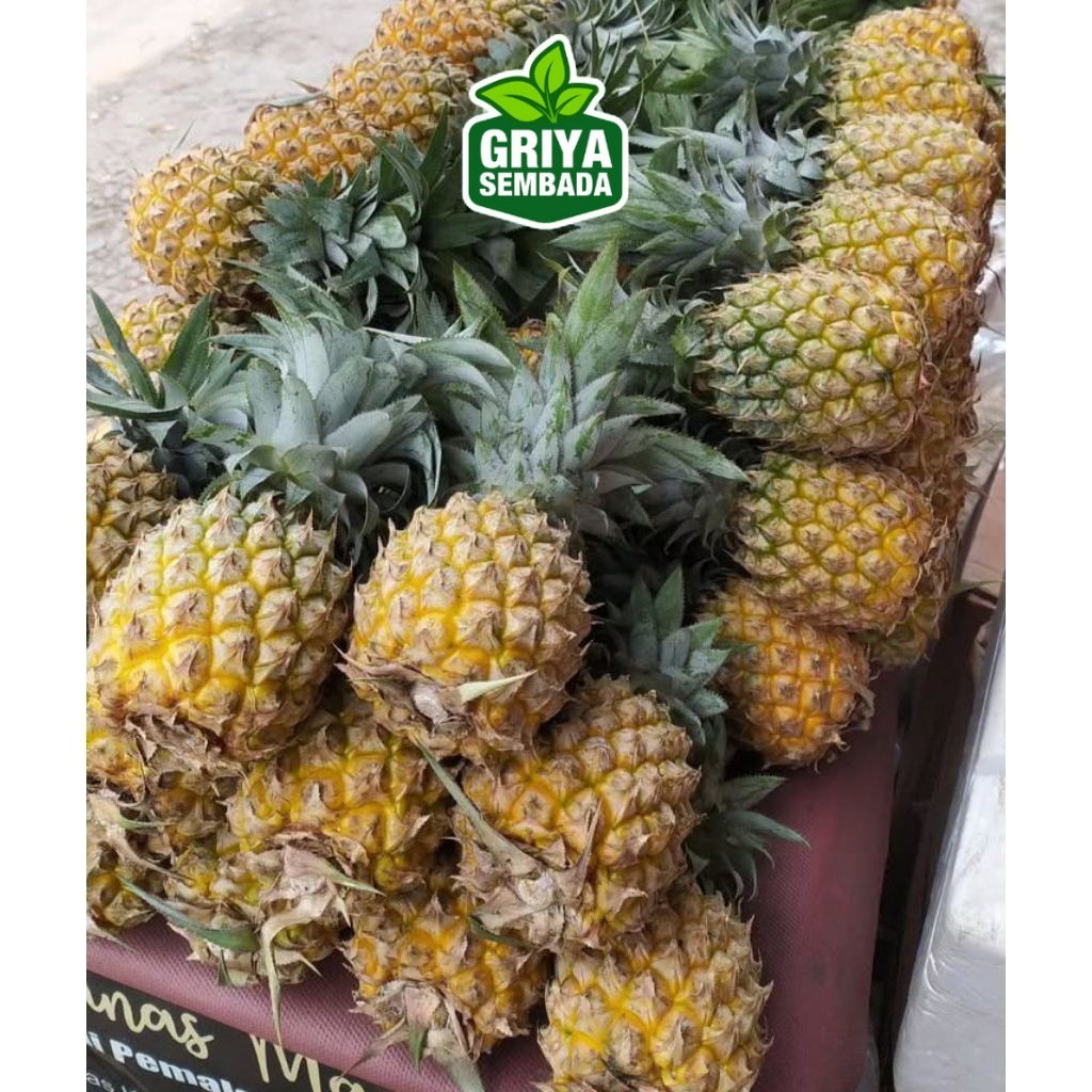 

instant nanas madu belik pemalang 1 pcs sameday/Griya Sembada