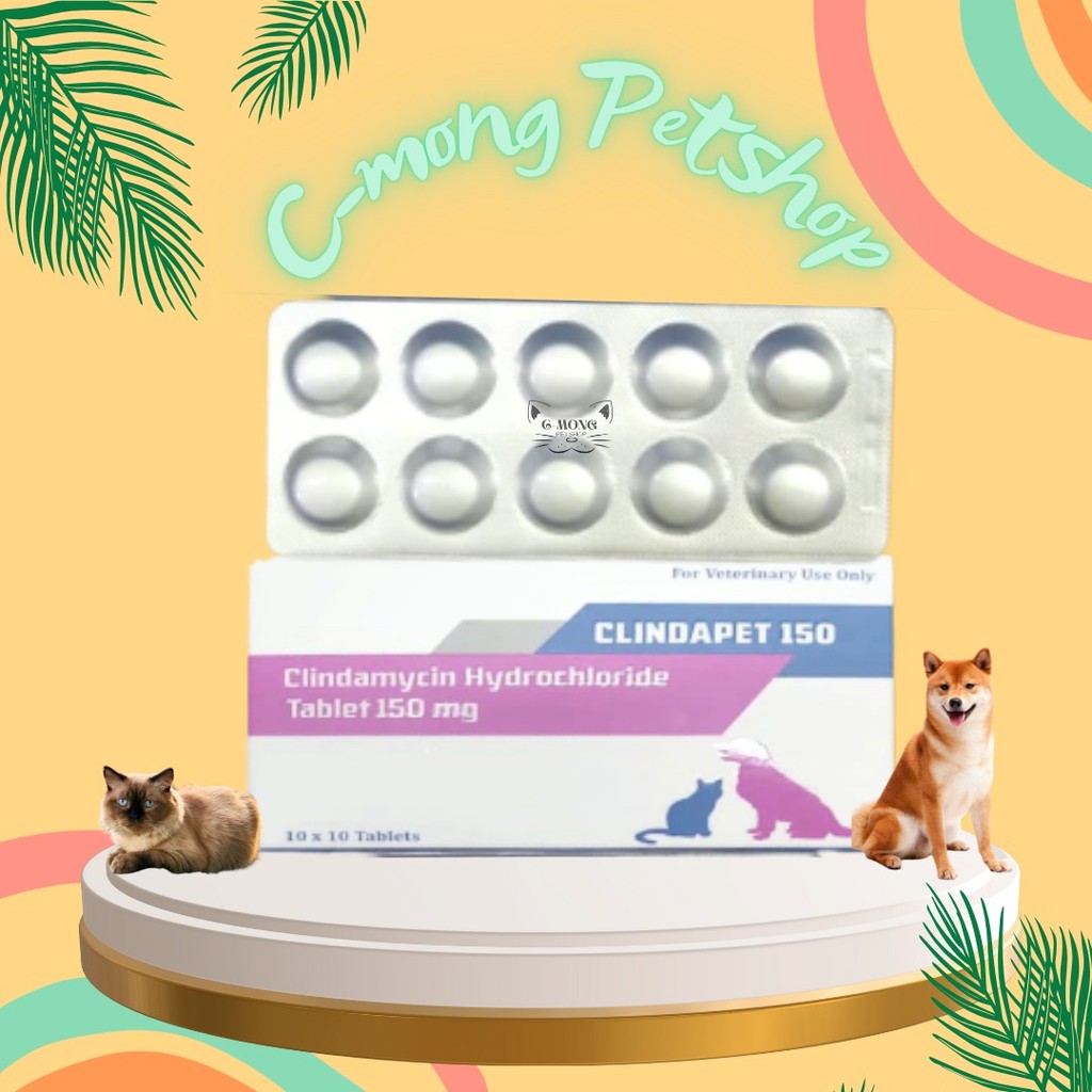 Clindapet Clindamycin 150mg For Cats & Dogs (1 BOX = 10 BLISTER) - Anti Bakteri / Infeksi Pada Kucin