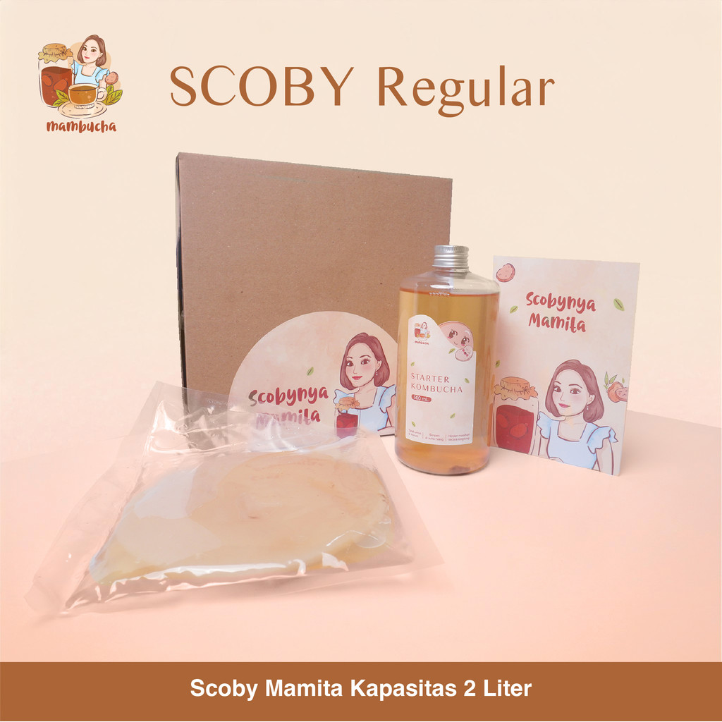 

Scoby Reguler Mambucha
