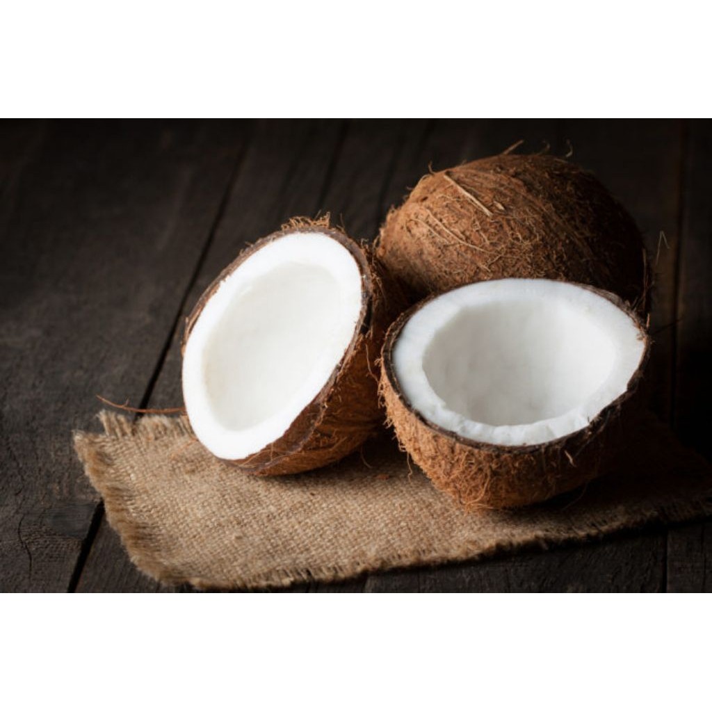 

kelapa tua super jumbo masih fresh, cocok dijadikan santan per1butir ...