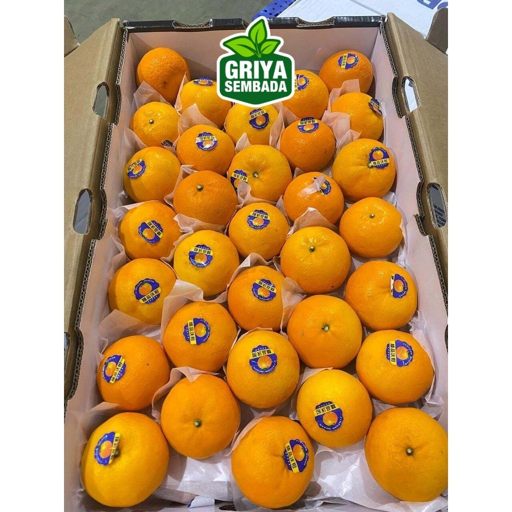 

Buah Jeruk Mandarin WOGAN 15 kilo/ Mandarin WOKAM Manis
