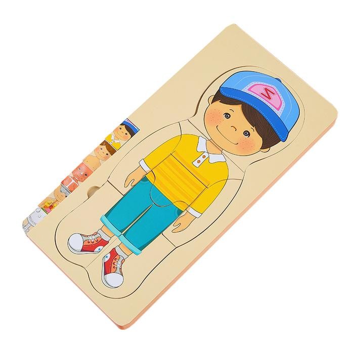3D Human Body Multilayer Puzzle Human Body Structure Wooden Puzzle Toy - Boy
