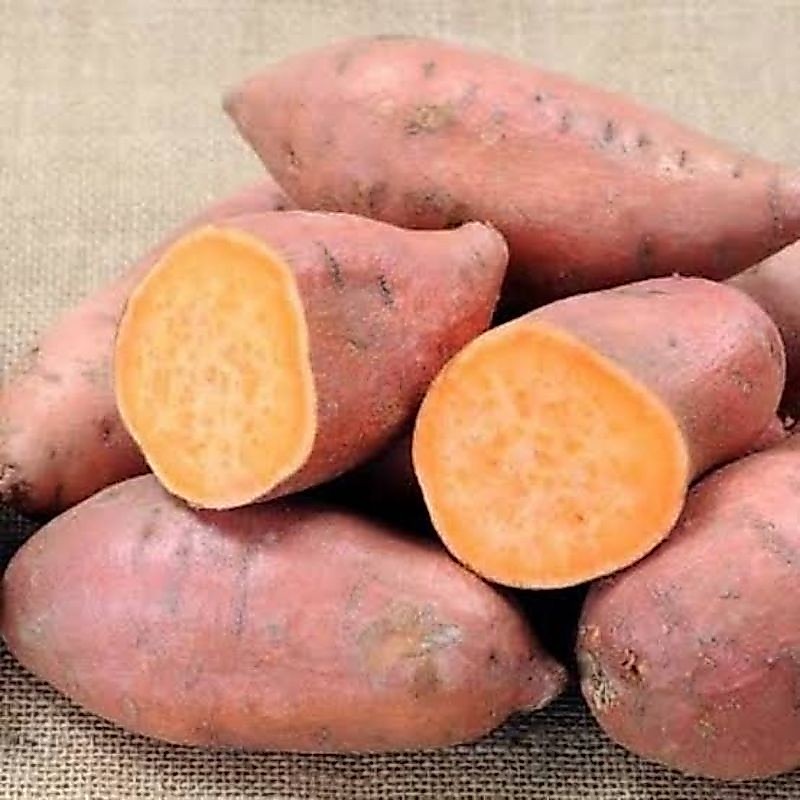 Ubi Jalar Orange - 1kg