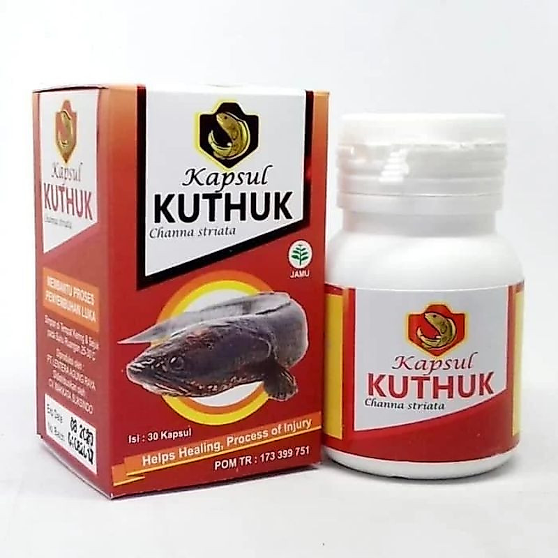 Kapsul Kuthuk Kapsul Kutuk Minyak Ikan Gabus Channa striata