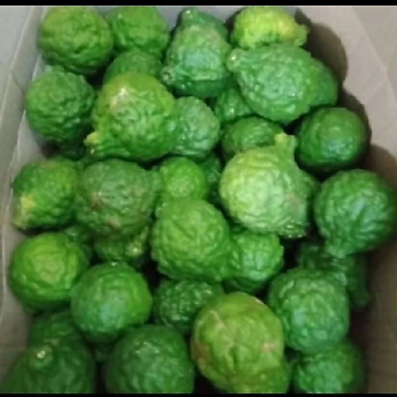 Jeruk Purut Segar 1 Kg