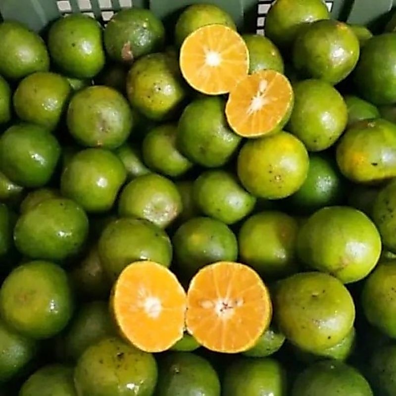 Jeruk Peras 1 kg