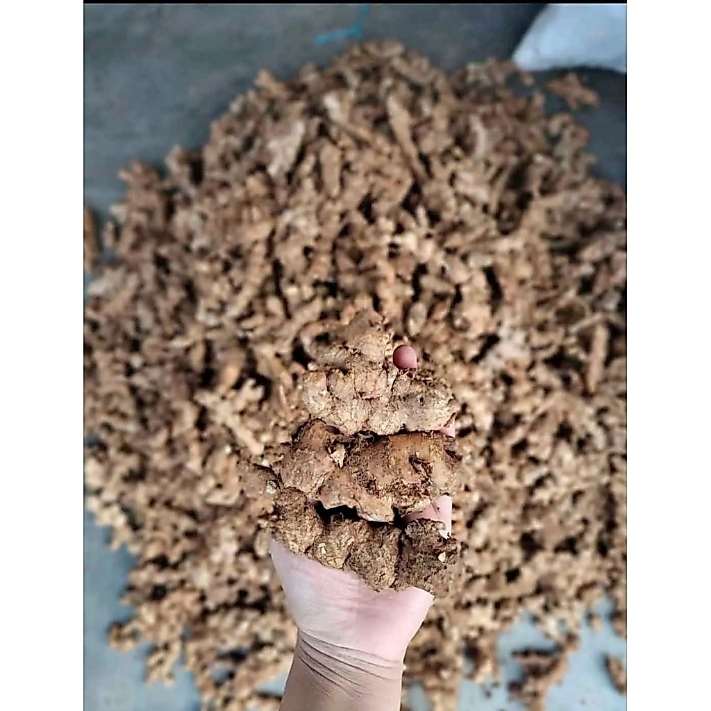 Jahe Emprit / Paris Segar 500 Gram | Jahe Pilihan Berkualitas