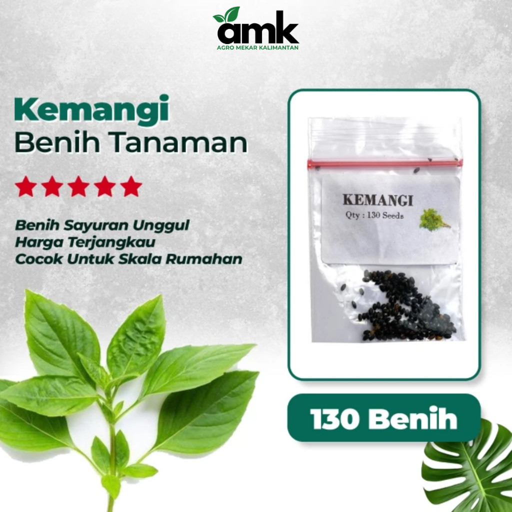 Benih Bibit KEMANGI LEMON BASIL - Agro Mekar Kalimantan