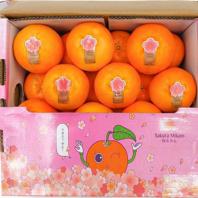 

Jeruk Mandarin Japan sakura 1 kg
