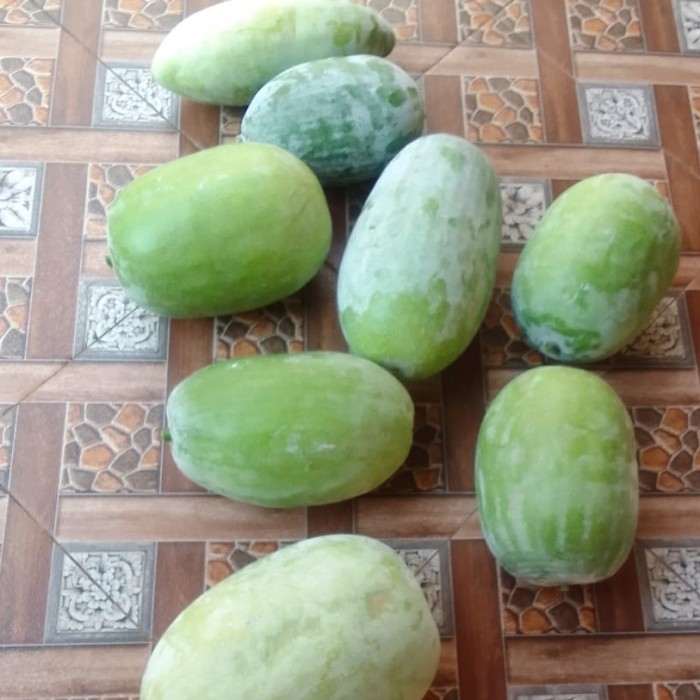 

buah bligo buah kundur beligo obat herbal 1 kg
