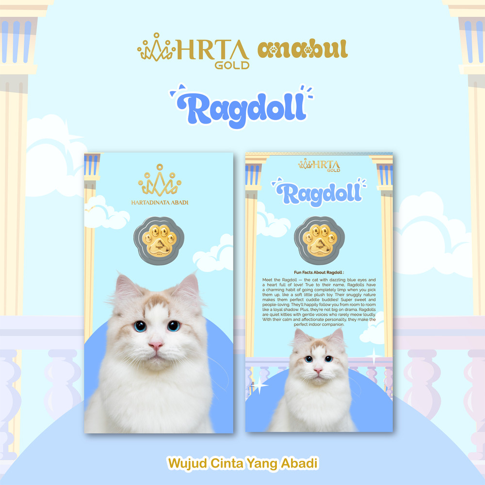 EMASKU Anabul 0.2 gr, Ragdoll Cat